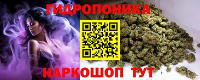 гашик Малоярославец